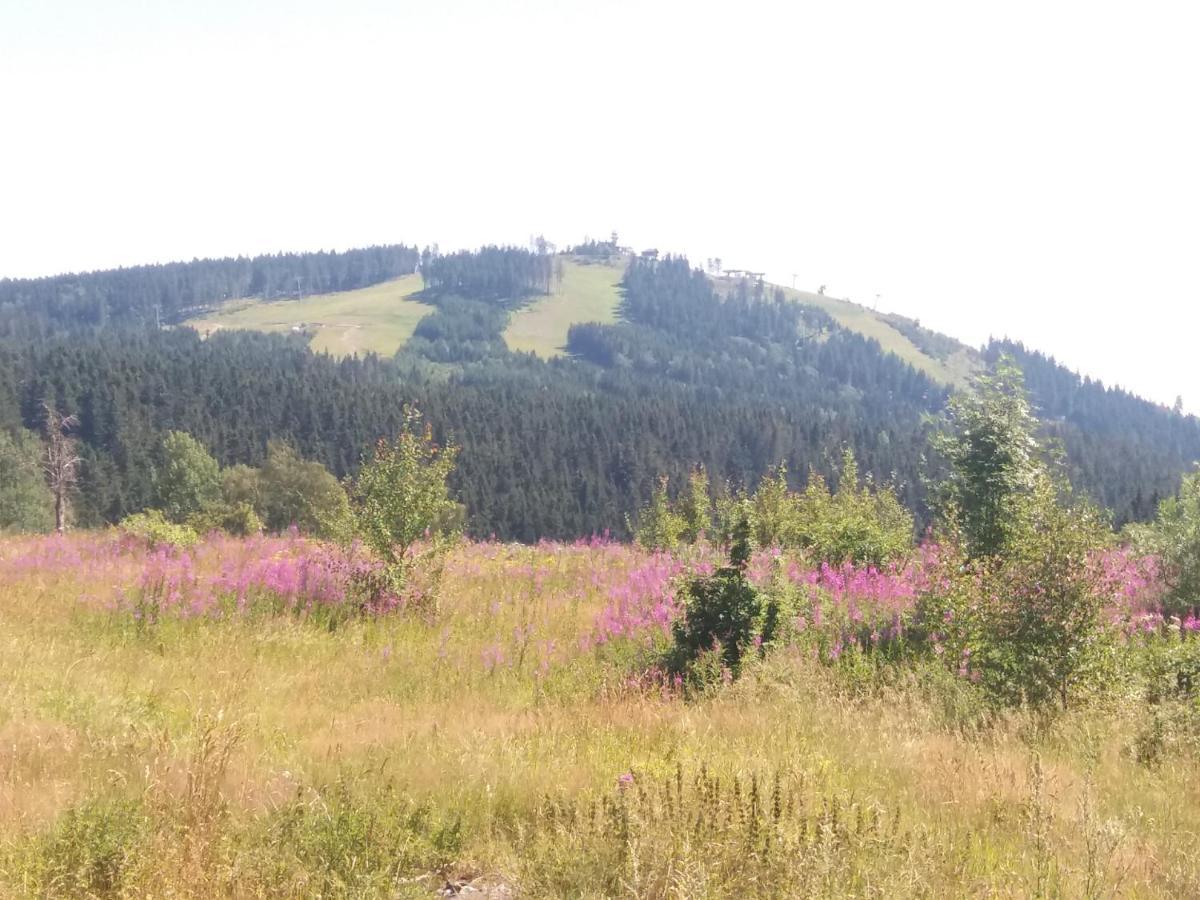 Apartman Abertamy Krusne Hory Exterior foto